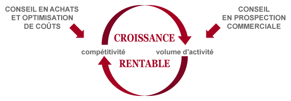 Modèle élancio de croissance rentable